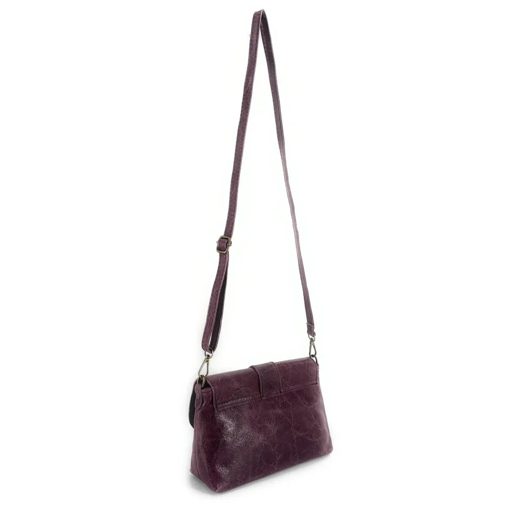 Mini sac en cuir lisse VERONE Prune