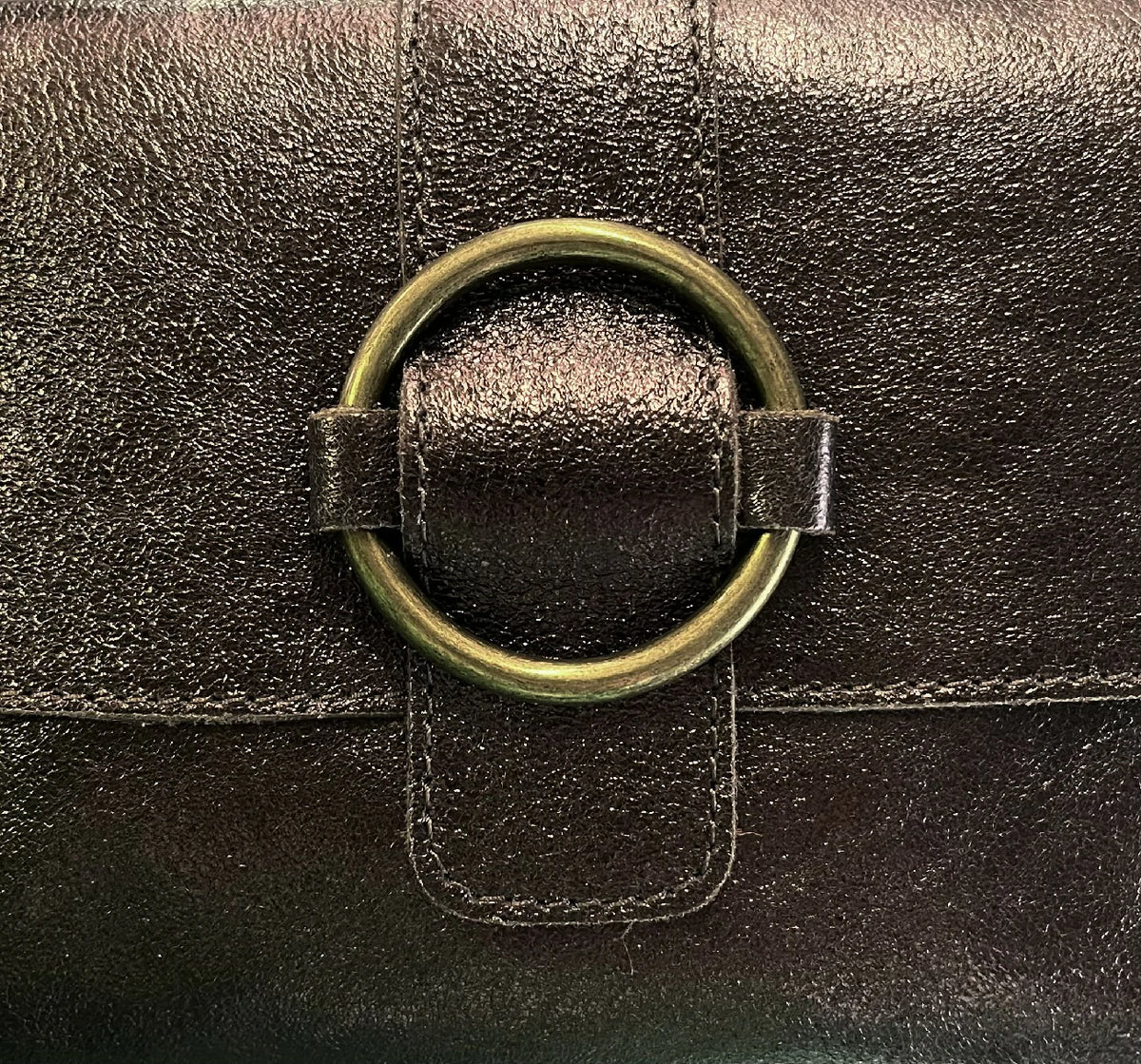VERONE Iridescent Leather Mini Bag Iridescent Chocolate