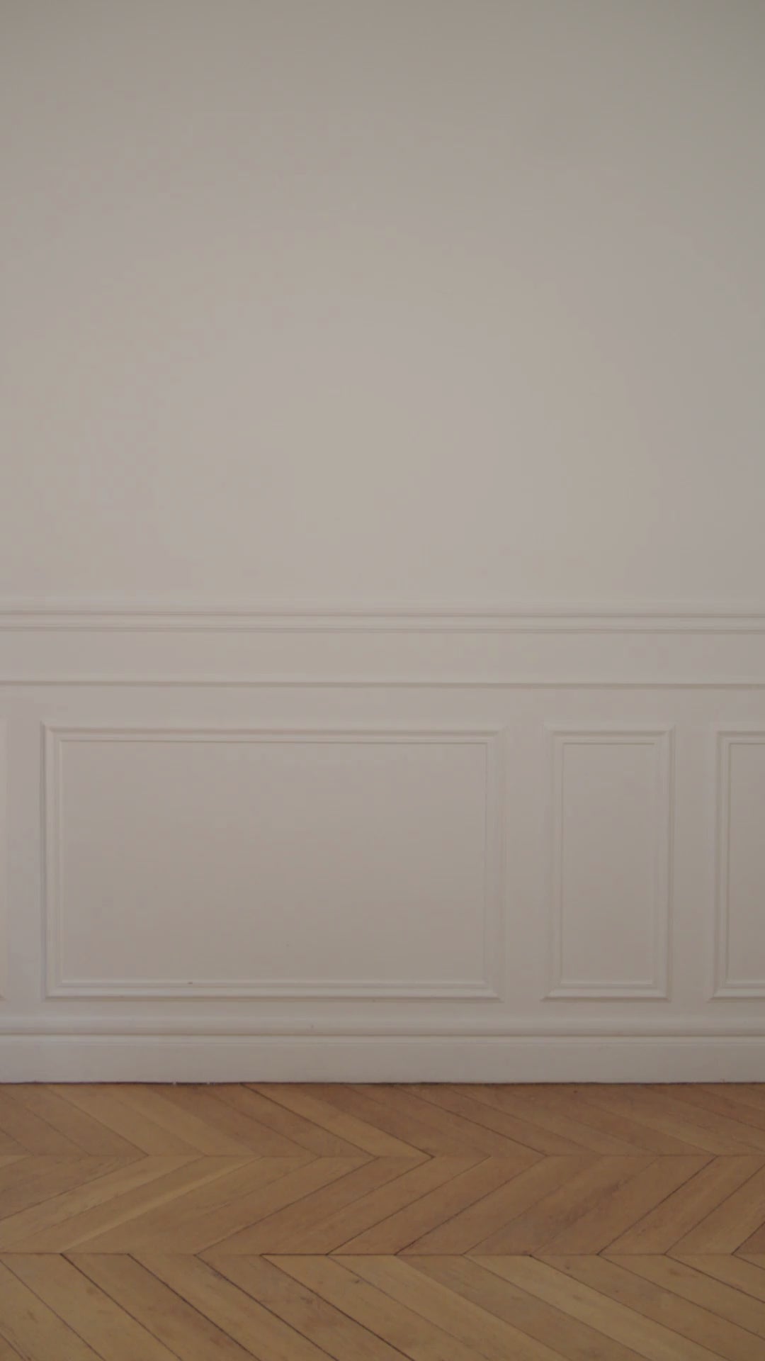 Charger la vidéo : Lilac Birdie stylish women’s bag