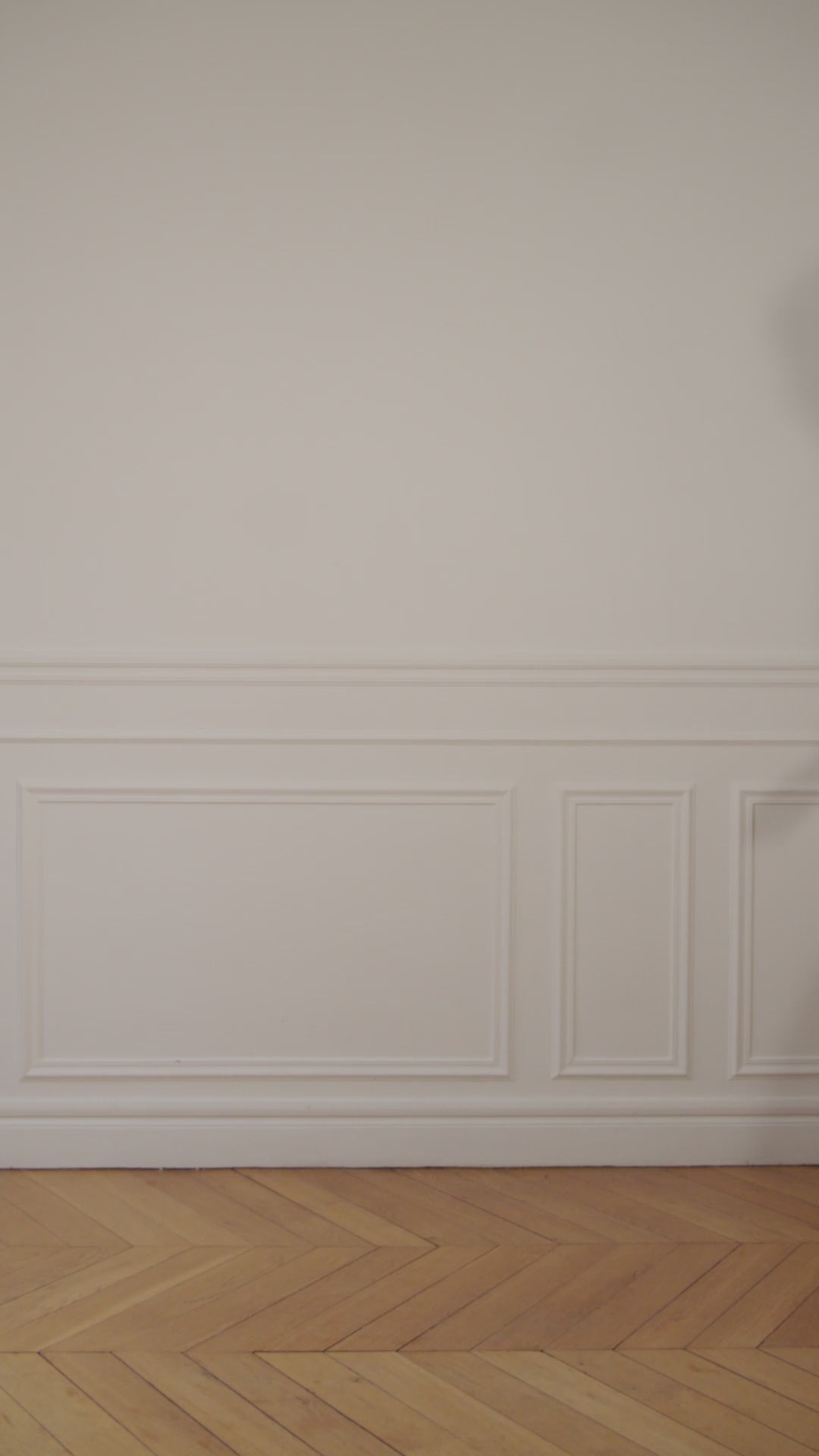 Load the video:Sac Princesse teinte bordeaux brossé femme