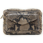 Clear taupe snake